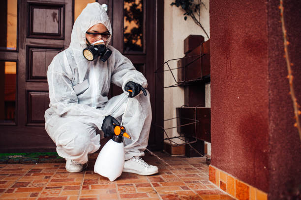 Reliable Ant Control contractor in Old Tappan, NJ by Nex Pest Control