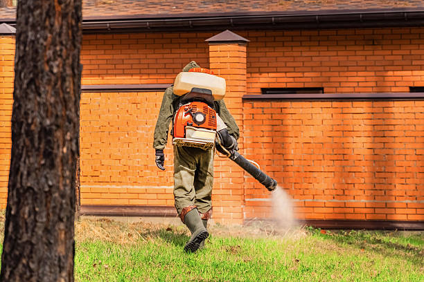 Trusted Termite Control service in Old Tappan, NJ - Nex Pest Control